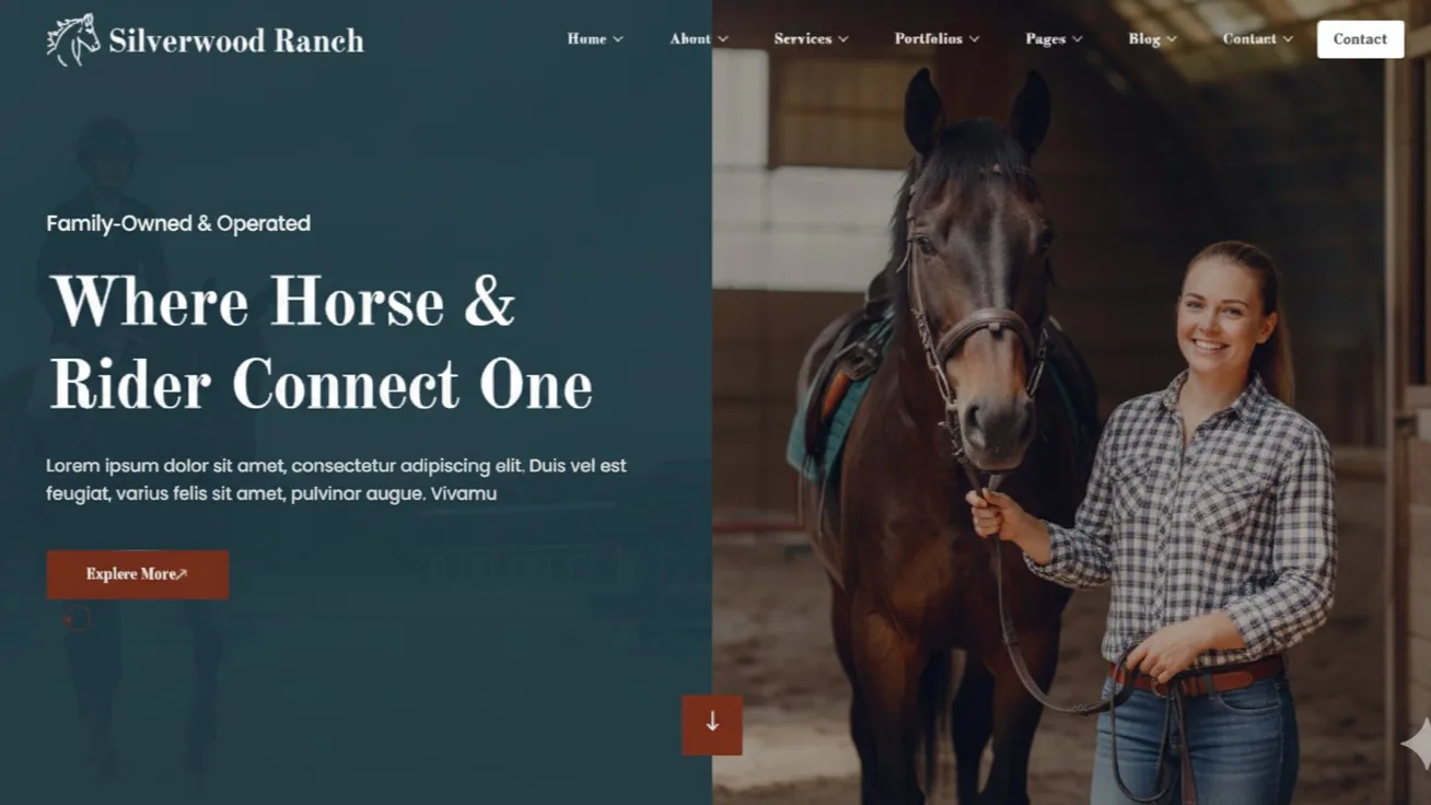 A visual direction for a equestrian professional website