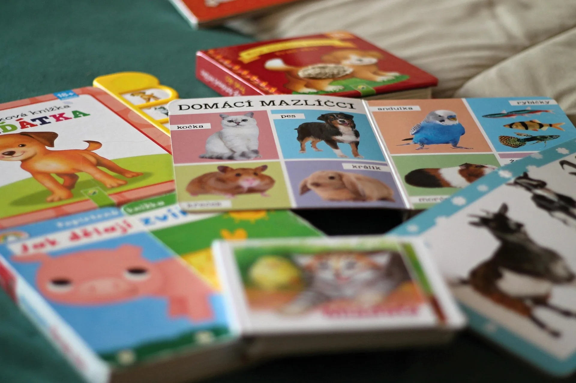 Children's Books