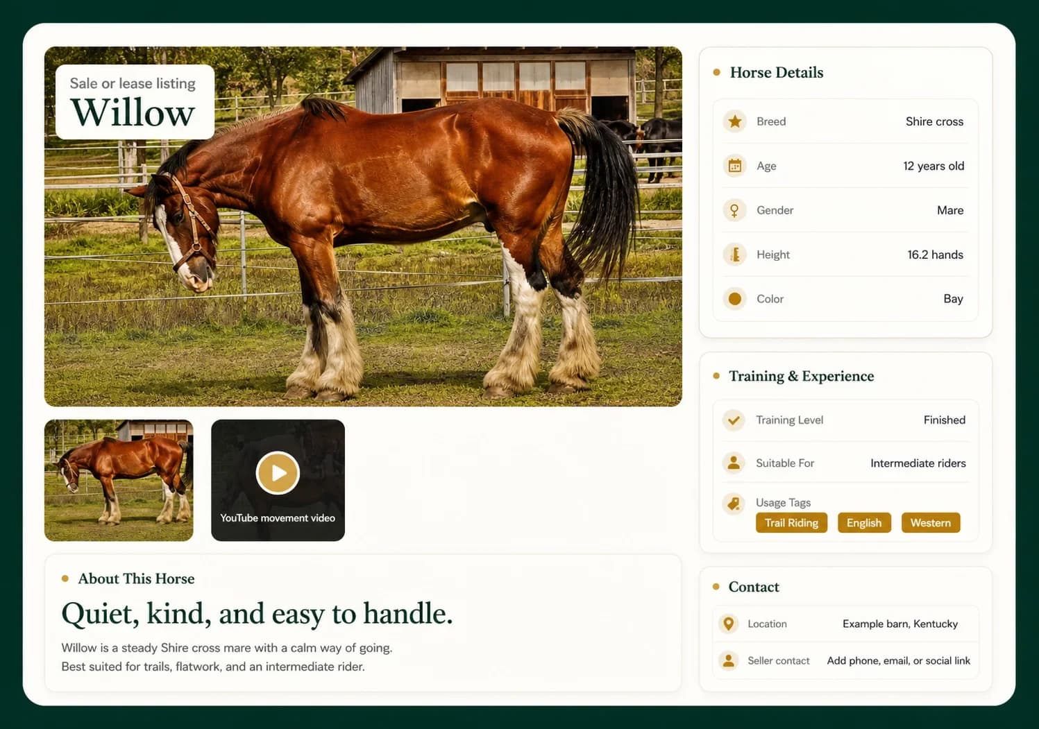A BarnLinking horse sale listing showing photos, breed and training details, and seller contact