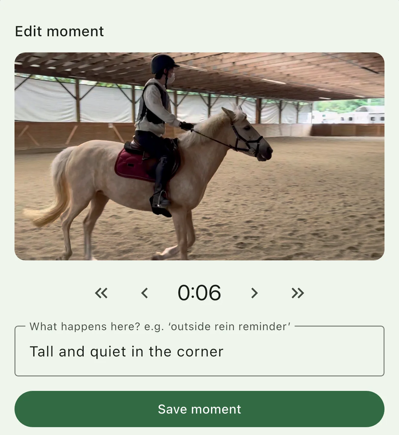 The Edit moment sheet showing a saved still of a trotting pony at 0:06 with the note Tall and quiet in the corner