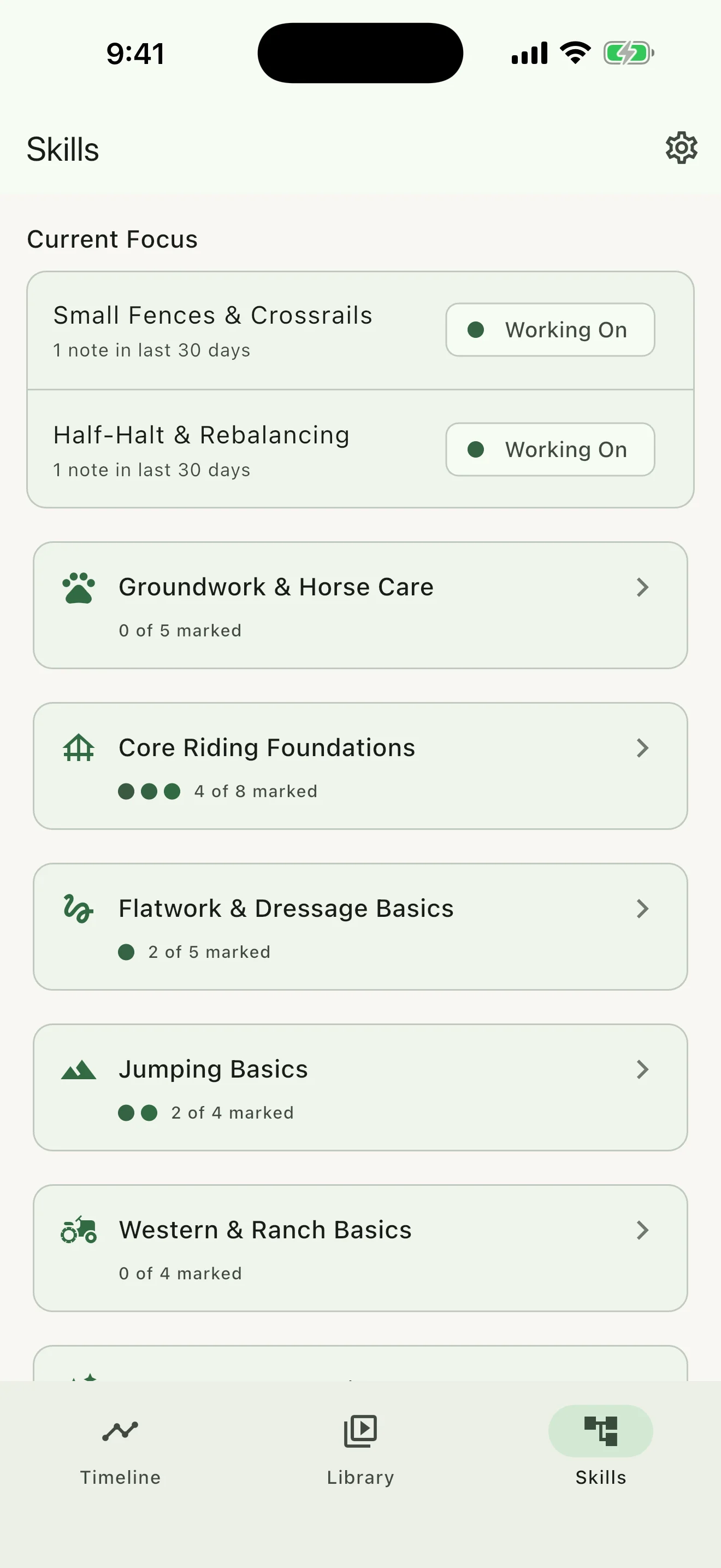 ReinTrace Skill Map with Current Focus and riding skill branches