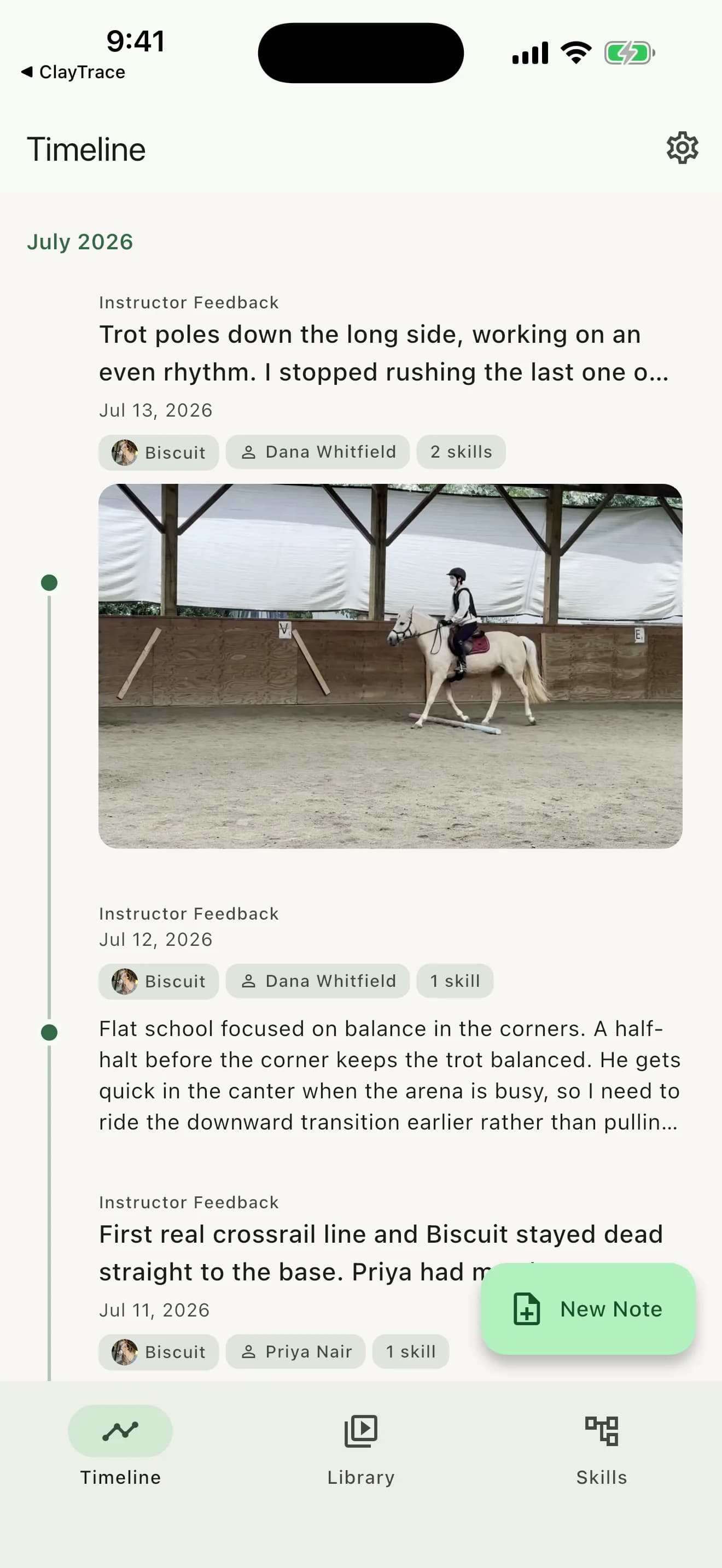 ReinTrace Timeline showing observations, instructor feedback, horses, skills, and riding media across several rides