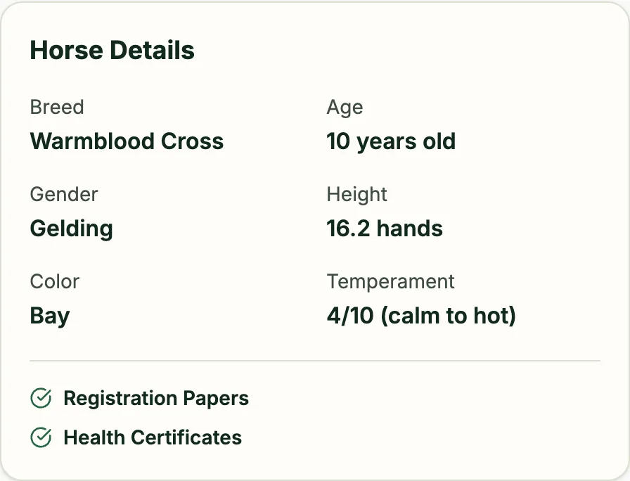 Horse listing card with age, breed, height and sale details for a fictional example horse